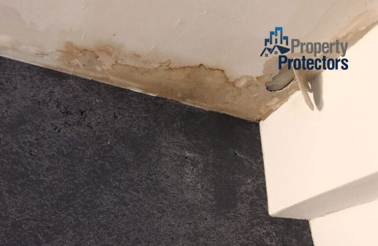 public-adjuster-for-water-damage