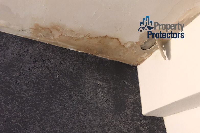 Why You Need a Public Adjuster for Water Damage Claims