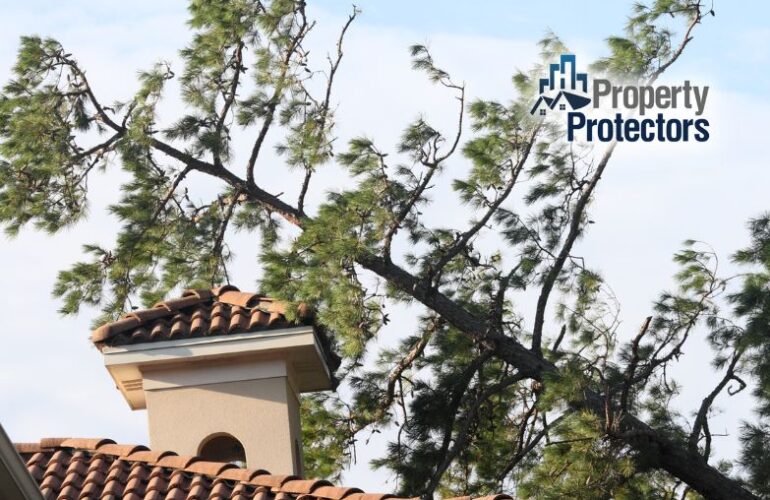 what-to-do-if-a-tree-falls-on-your-house