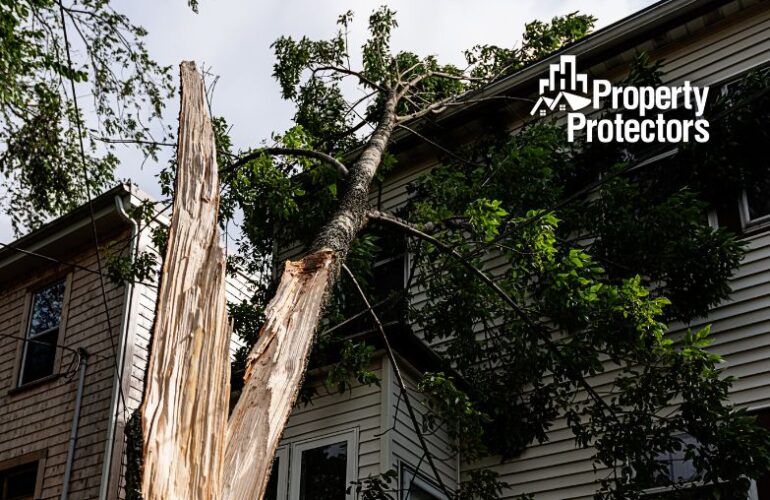 public-adjuster-during-hurricane-season