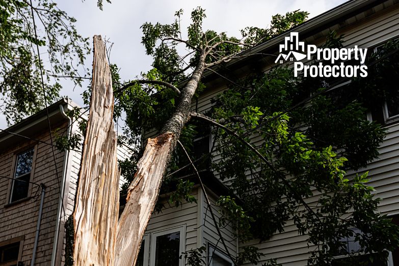 Why You Need a Public Adjuster During Hurricane Season