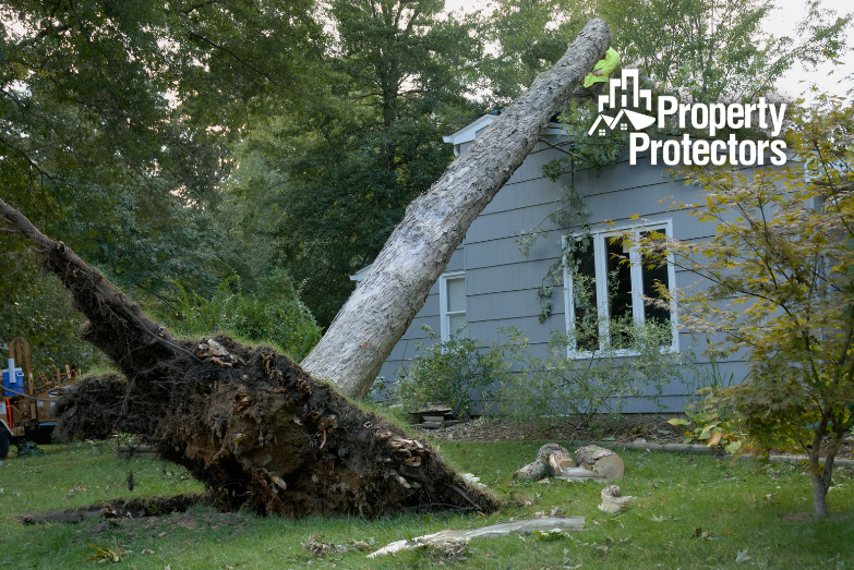 Florida Storm Damage: Legal Considerations