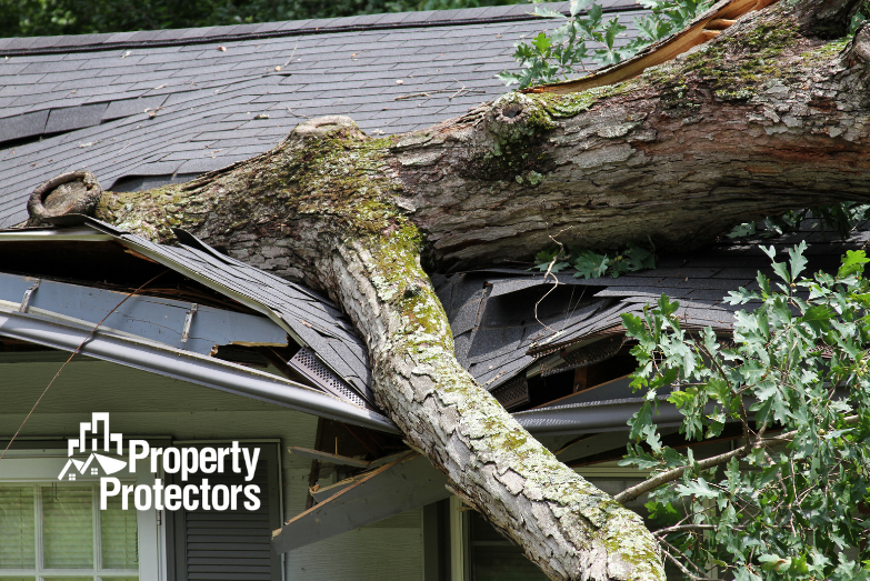 Hurricane Preparedness: Is Your Roof Protected?