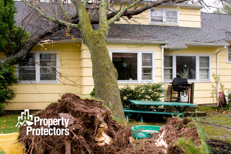 What to Do If Your Property Has Been Damaged